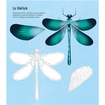 Mon beau livre de la nature : A la découverte des petites bêtes et des oiseaux…
