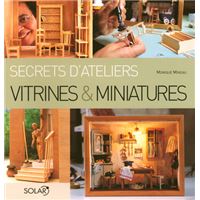 Vitrines miniatures - cartonné - Sylvie Robine - Achat Livre