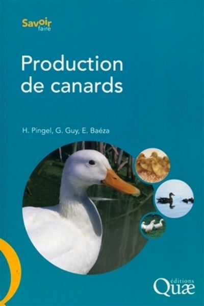 Production de canards