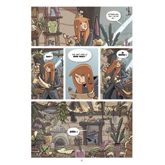 Le Royaume des Brumes