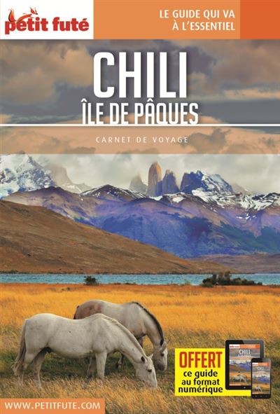 Guide Chili - Île de Pâques 2018 Carnet Petit Futé - Dominique Auzias - broché
