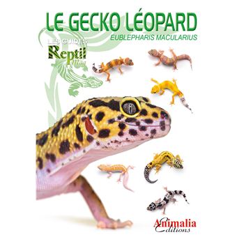 Le gecko léopard