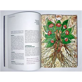 L'Herbier magique de la Sorcière - Incantations & Rituels
