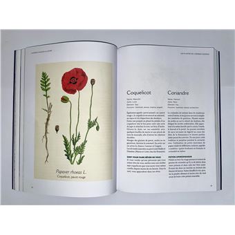 L'Herbier magique de la Sorcière - Incantations & Rituels