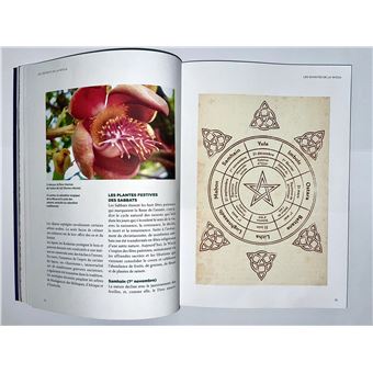 L'Herbier magique de la Sorcière - Incantations & Rituels