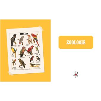 Mon carnet de curiosités avec Le Petit Nicolas et Deyrolle