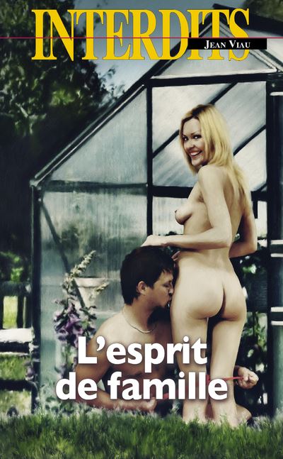 L'esprit de famille - Jean Viau - Poche