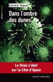 Dans l'ombre des dunes