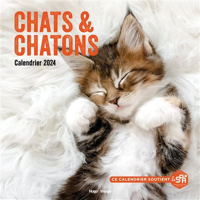 Calendrier mural chats et chatons 2024 - Dernier livre de Collectif