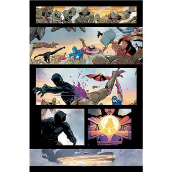 Black Panther T01 : Des ombres au tableau