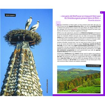 Guide du Routard Alsace 2023/24