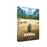 Onoda - 10 000 nuits dans la jungle - Blu-ray + DVD bonus