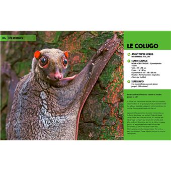 Découvre les super héros de la nature