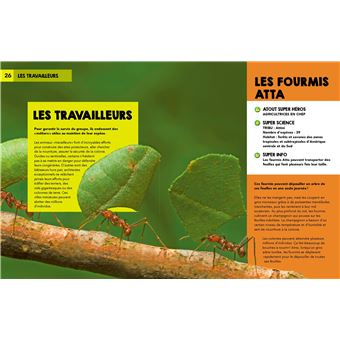Découvre les super héros de la nature