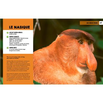Découvre les super héros de la nature
