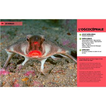 Découvre les super héros de la nature