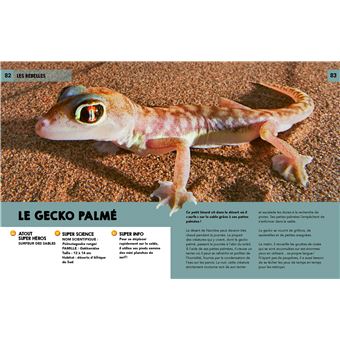 Découvre les super héros de la nature