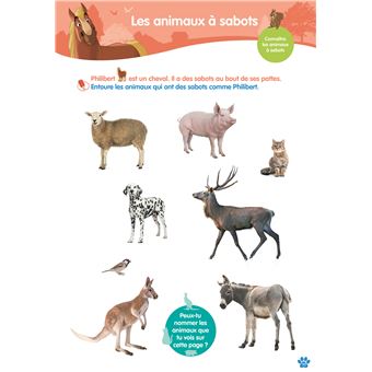Disney animaux - De la Grande Section au CP - Cahier de vacances 2023