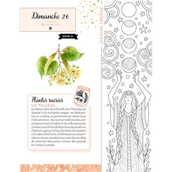 L'almanach des sorcières et enchanteresses 2022