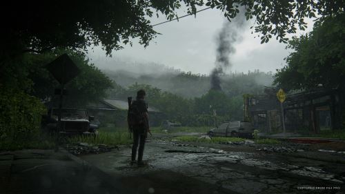 THE LAST OF US Part II PS4 VF EUR 15,00 - FR THE LAST OF US Part II PS4 VF EUR 15,00 - FR