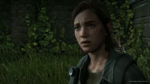 The Last Of Us Part 2 Special Edition - PS4 The Last Of Us Part 2 Special Edition - PS4