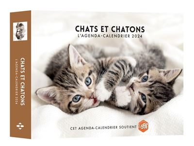 Agenda - Calendrier Chats et chatons 2024 - Dernier livre de Aco