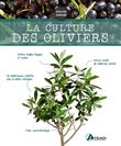 La culture des oliviers
