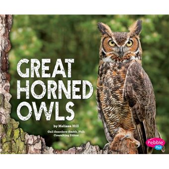 Great Horned Owls - 1