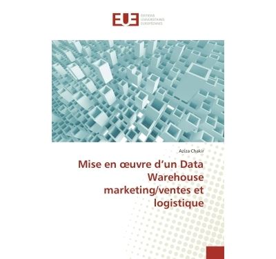 Mise en oeuvre d'un Data Warehouse marketing/ventes et logistique
