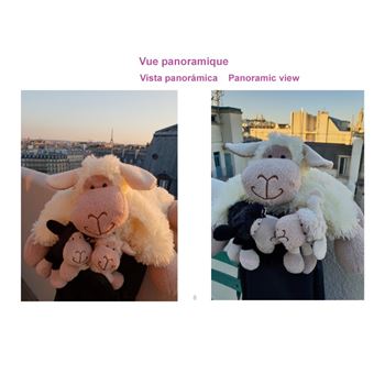 Touristes à Paris !