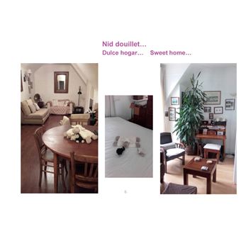 Touristes à Paris !