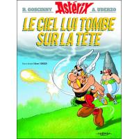 Asterix Tome 34 L Anniversaire D Asterix Et Obelix Rene Goscinny Albert Uderzo Albert Uderzo Rene Goscinny Cartonne Achat Livre Ou Ebook Fnac