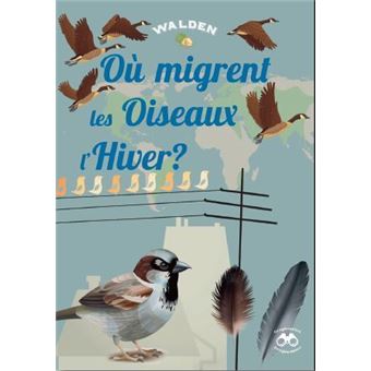 Où migrent les oiseaux l'hiver ?