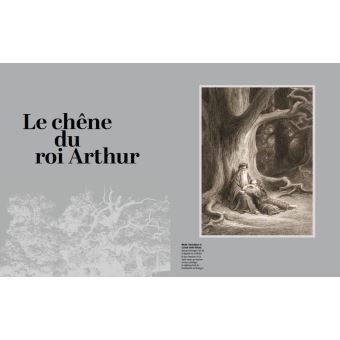 Les arbres, témoins de l'histoire