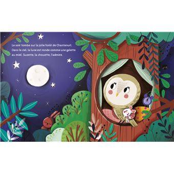 La chouette qui ne voulait pas dormir