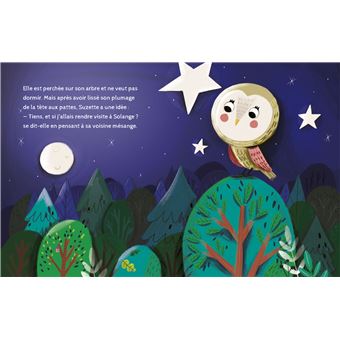 La chouette qui ne voulait pas dormir