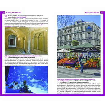 Guide du Routard Montpellier 2022/23