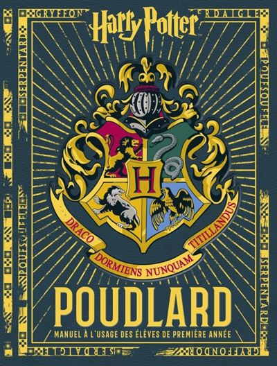 Harry Potter, le livre d'activités de Poudlard parfait pour les