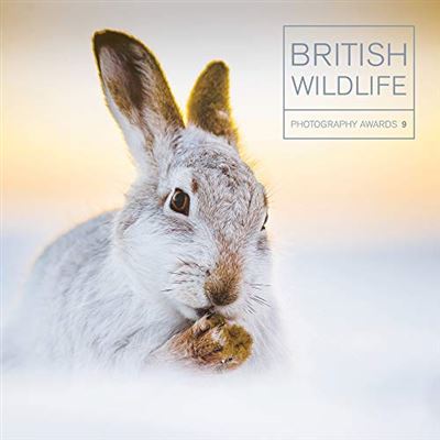 British wildlife photography