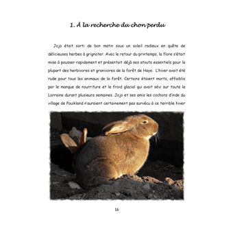 Au pays de Chonland, le village de Grouikland