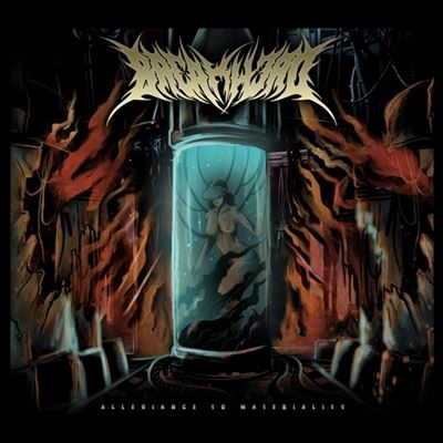 Allegiance To Materiality