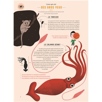 Même pas bêtes ! Les 5 sens