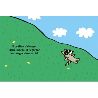 Le raton laveur qui ne voulait pas se laver