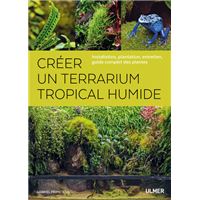 Créer un terrarium tropical humide