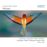 MESSIE/2CD_0