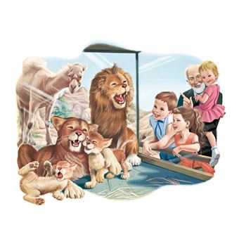 Martine, mes premières histoires - Martine va au zoo