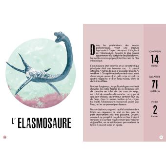 L'ère des dinosaures - Le stegosaure 3D