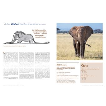 Sauver la planète en jouant avec le Petit Prince