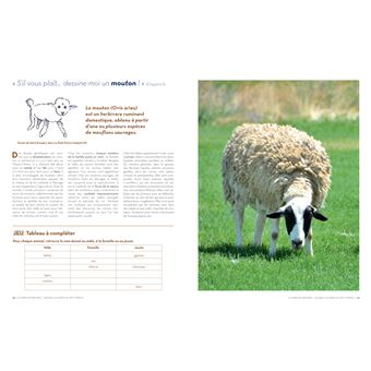 Sauver la planète en jouant avec le Petit Prince