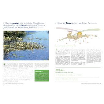 Sauver la planète en jouant avec le Petit Prince